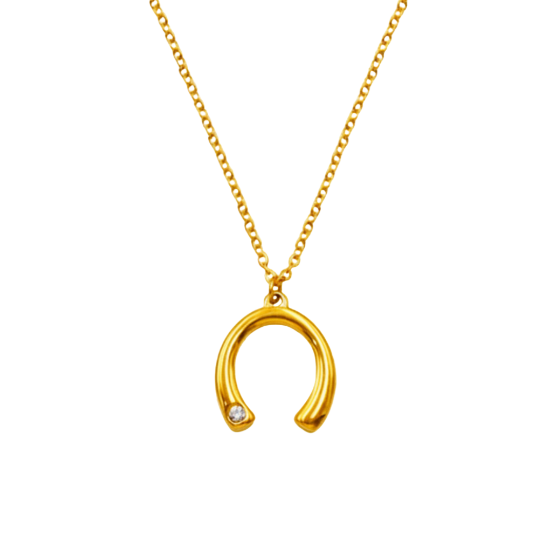 Lucky Fortune Necklace